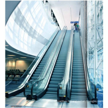 Escalateurs sûrs de haute qualité pour les centres commerciaux pour les centres commerciaux